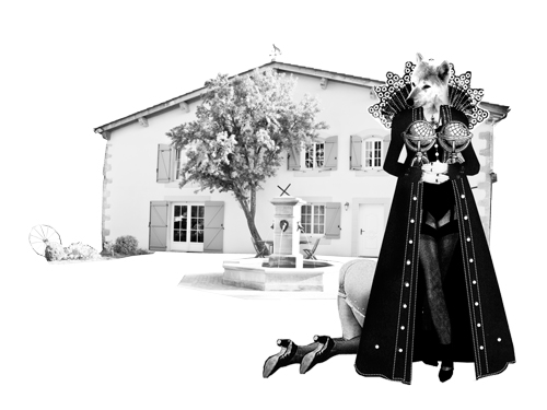 Domaine La Louvière - L'Amant Bio